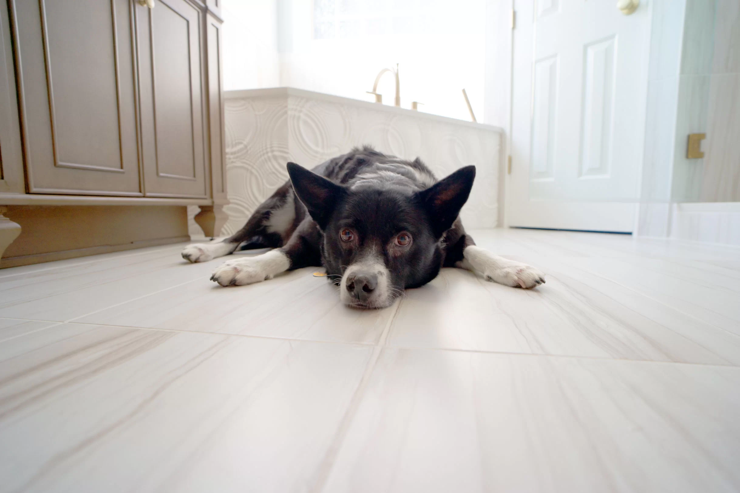 bathroom-remodel-lilly